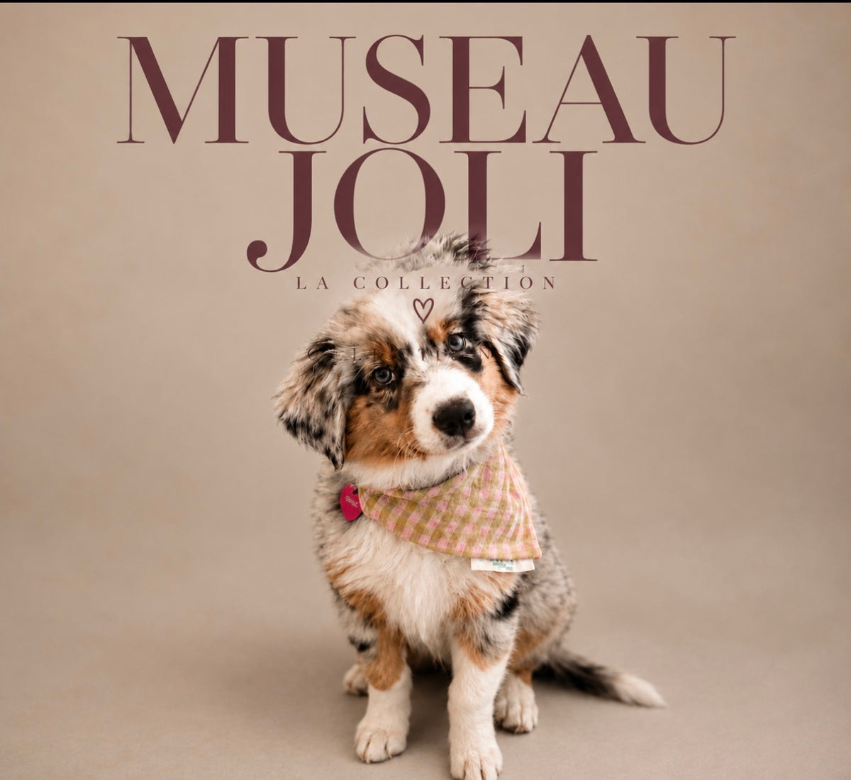 Museau Joli
